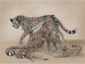 1274539164_nekoyoukaii_bug_by_nekoyoukaii.png